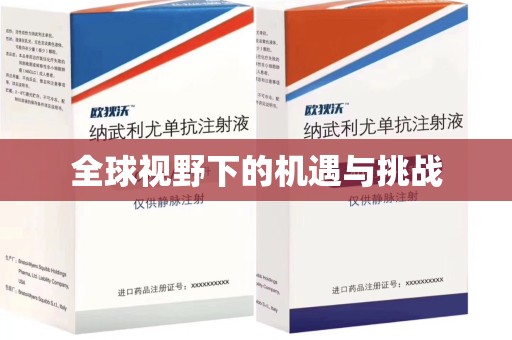 邢台全球视野下的机遇与挑战
