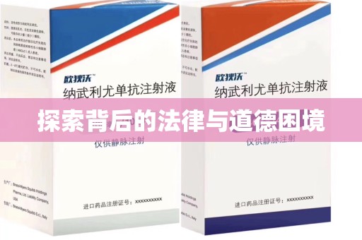 邢台探索背后的法律与道德困境