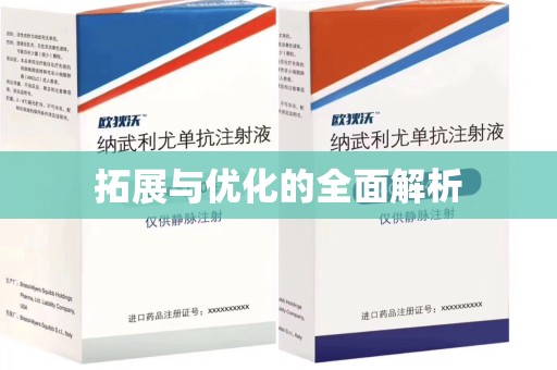 邢台拓展与优化的全面解析