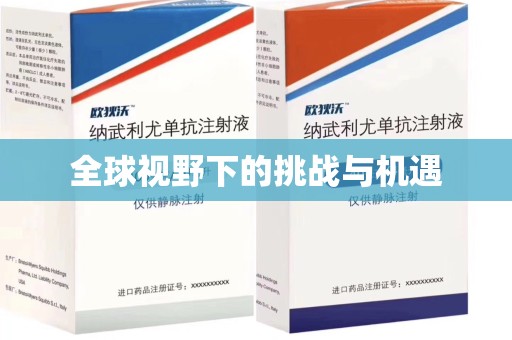 邢台全球视野下的挑战与机遇