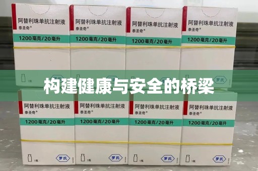 邢台构建健康与安全的桥梁