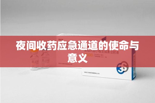邢台夜间收药应急通道的使命与意义