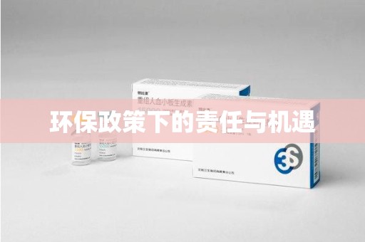邢台环保政策下的责任与机遇