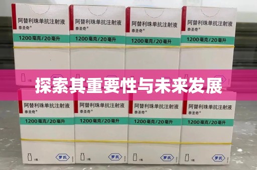 邢台探索其重要性与未来发展