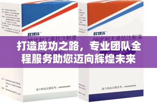 邢台打造成功之路，专业团队全程服务助您迈向辉煌未来