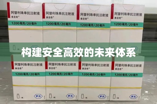 邢台构建安全高效的未来体系