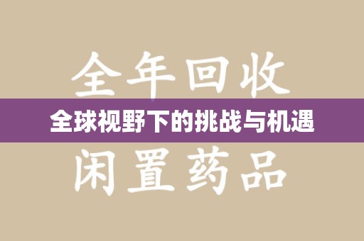 邢台全球视野下的挑战与机遇