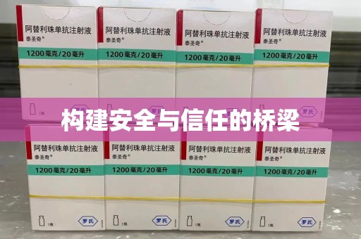 邢台构建安全与信任的桥梁