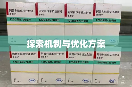 邢台探索机制与优化方案